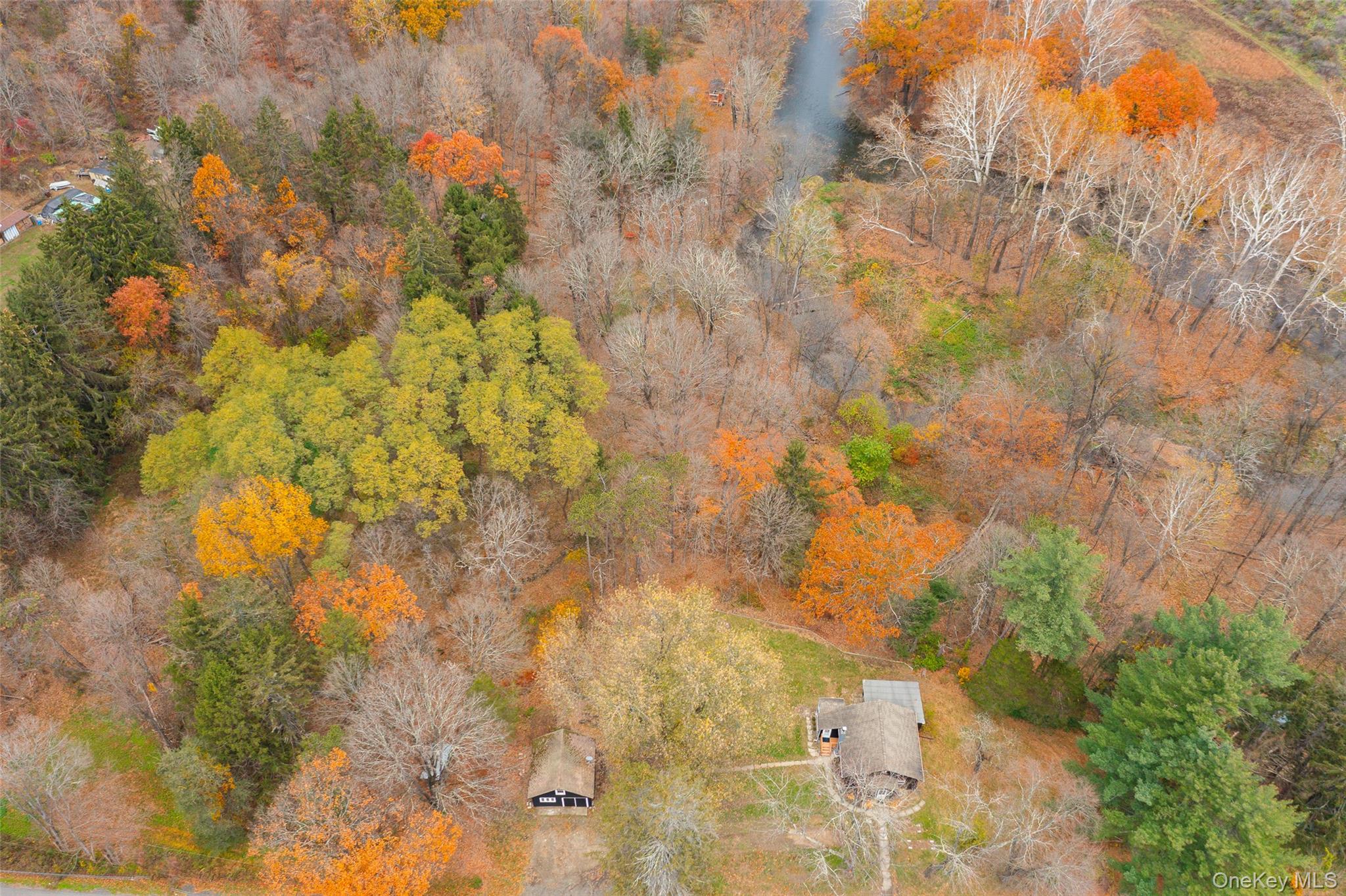 475 East Kerley Corners Road Tivoli, NY 12583 - Photo 28 of 31 a view of a tree in a yard