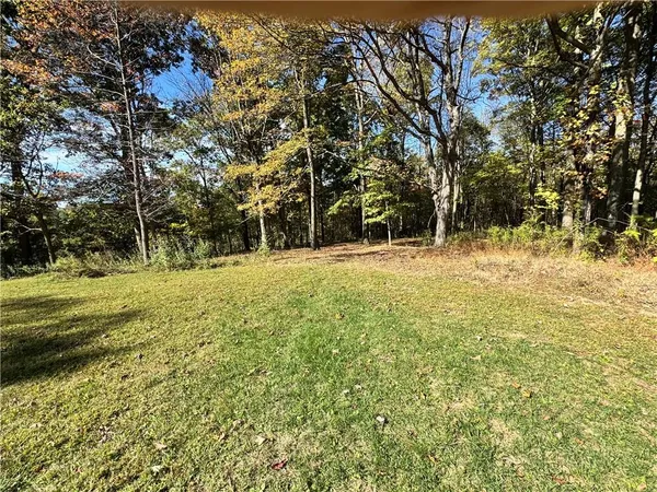 a view of outdoor space with trees all around