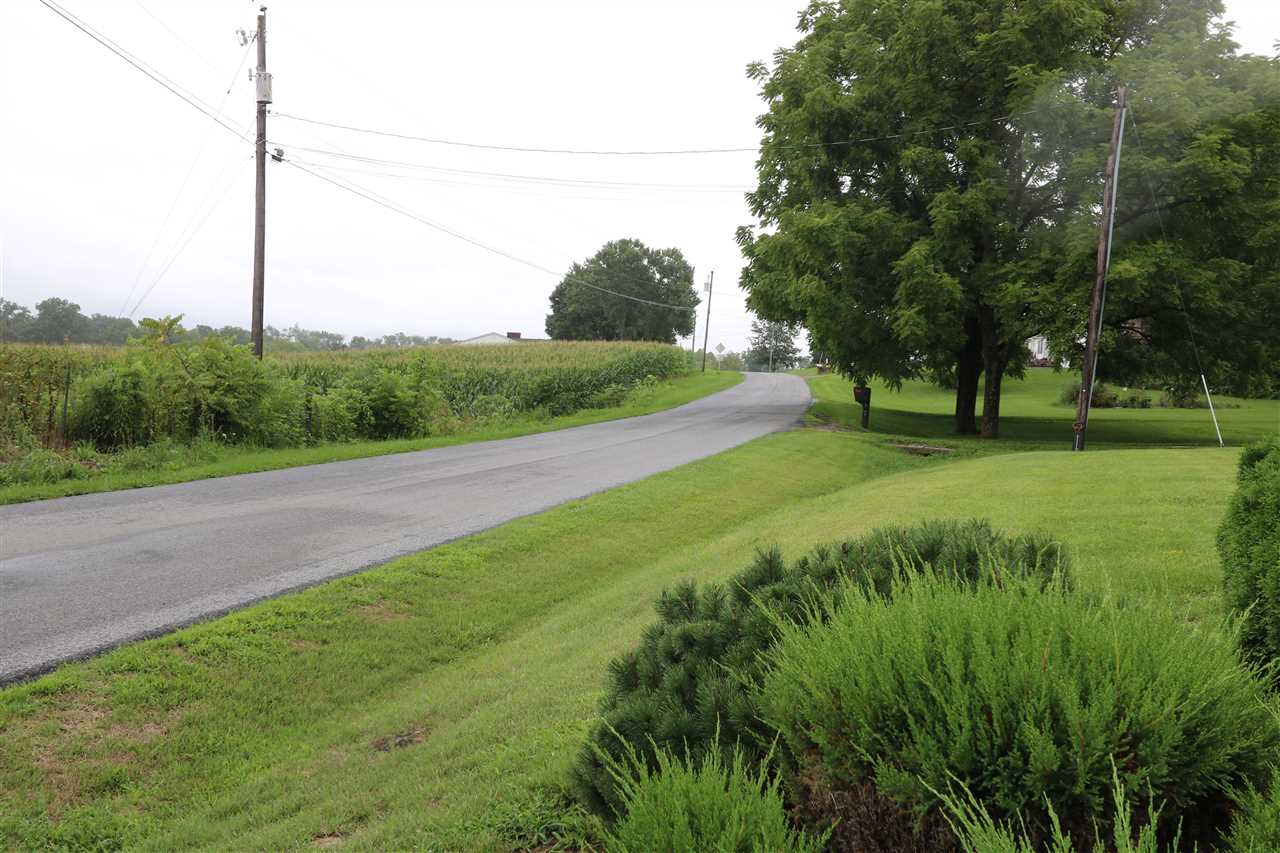 1067 Madrid Road Waynesboro, VA 22980 - Photo 47 of 48 a view of a field with a tree
