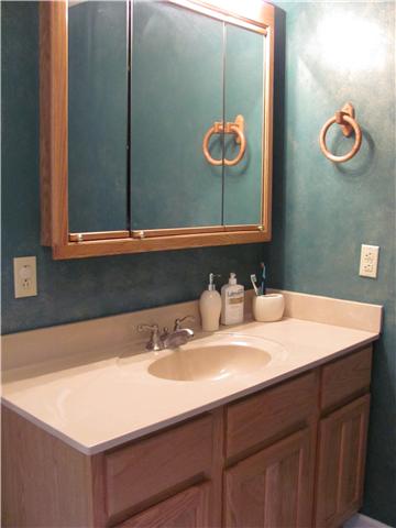 68 Pinegar Road Manchester, TN 37355 - Photo 8 of 15 The master bath has a tub/shower combination, large vanity with cultured marble and good storage areas.