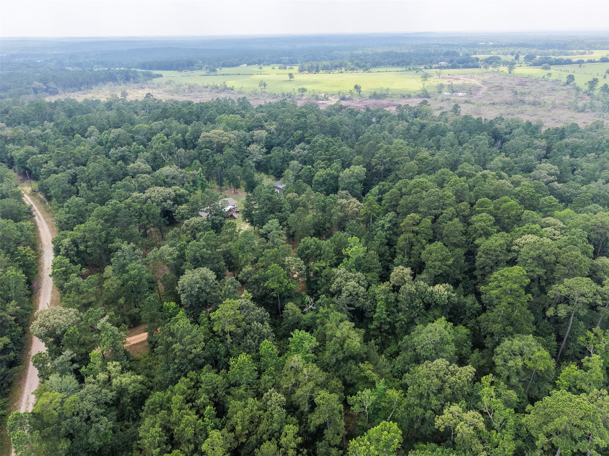 577 Winding River Road South Oakhurst, TX 77359 - Photo 44 of 44
