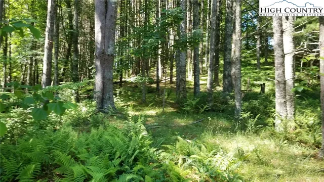 $25,000 | Lot 16 Woodland Drive, Unit 16, Piney Creek, NC 28663