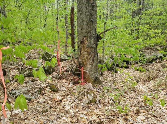 $109,000 | 0 Old Gilsum Road, Keene, NH 03431