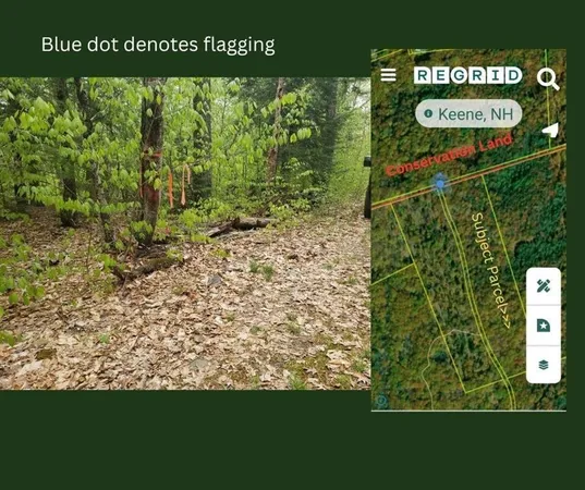 $109,000 | 0 Old Gilsum Road, Keene, NH 03431