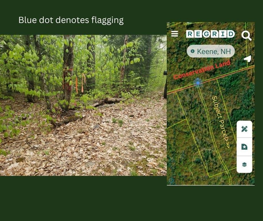 0 Old Gilsum Road Keene, NH 03431 - Photo 3 of 6