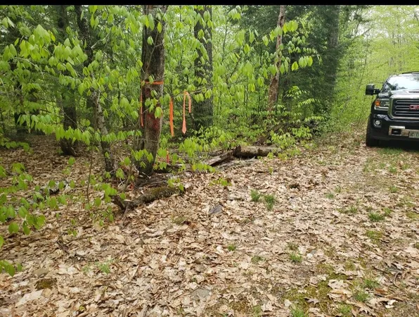 $109,000 | 0 Old Gilsum Road, Keene, NH 03431