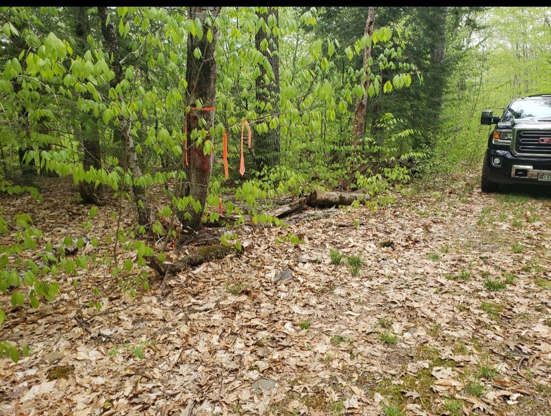 0 Old Gilsum Road Keene, NH 03431 - Photo 5 of 6