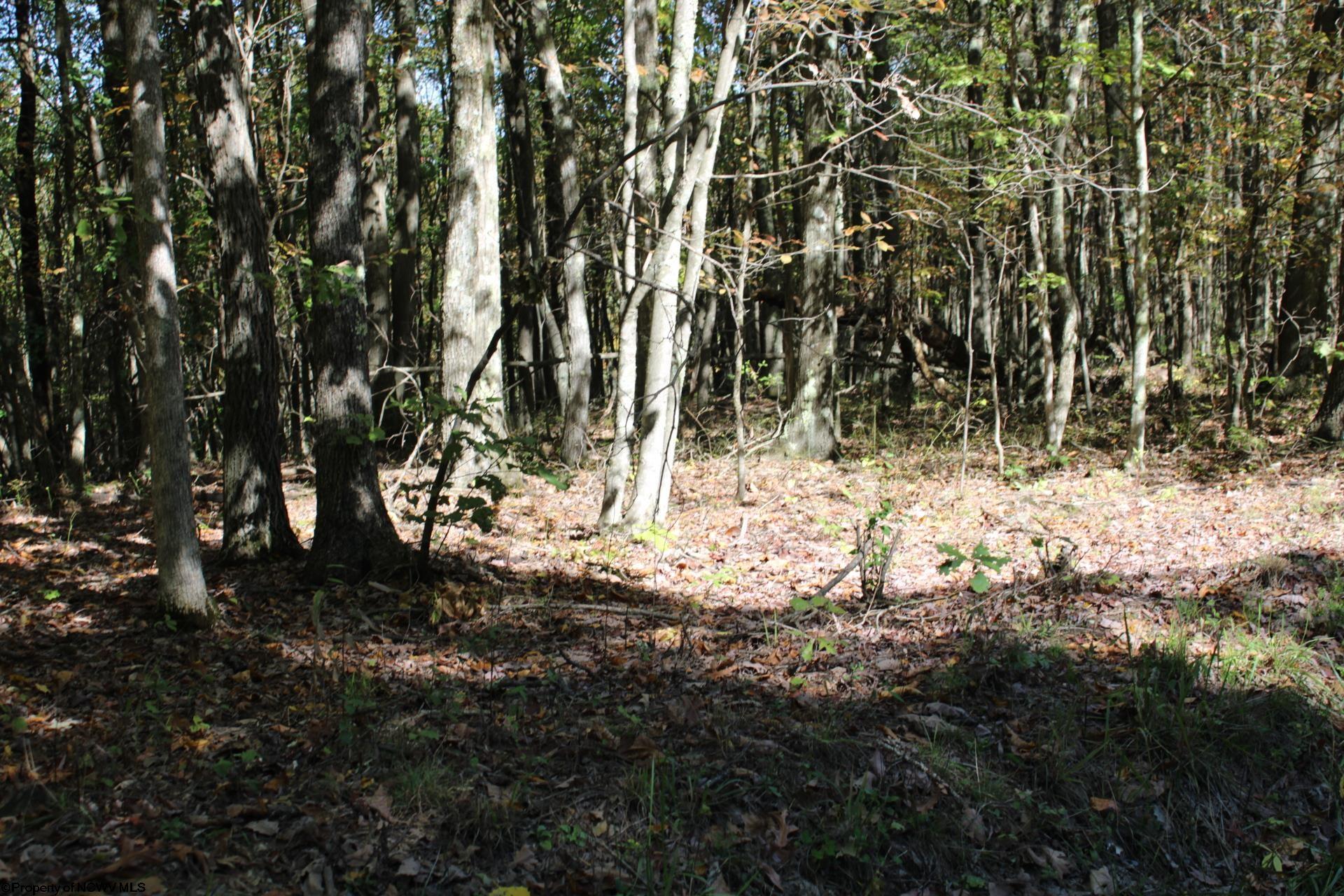 1429 Sand Bank Road Masontown, WV 26542 - Photo 21 of 23 Gallery Image 21
