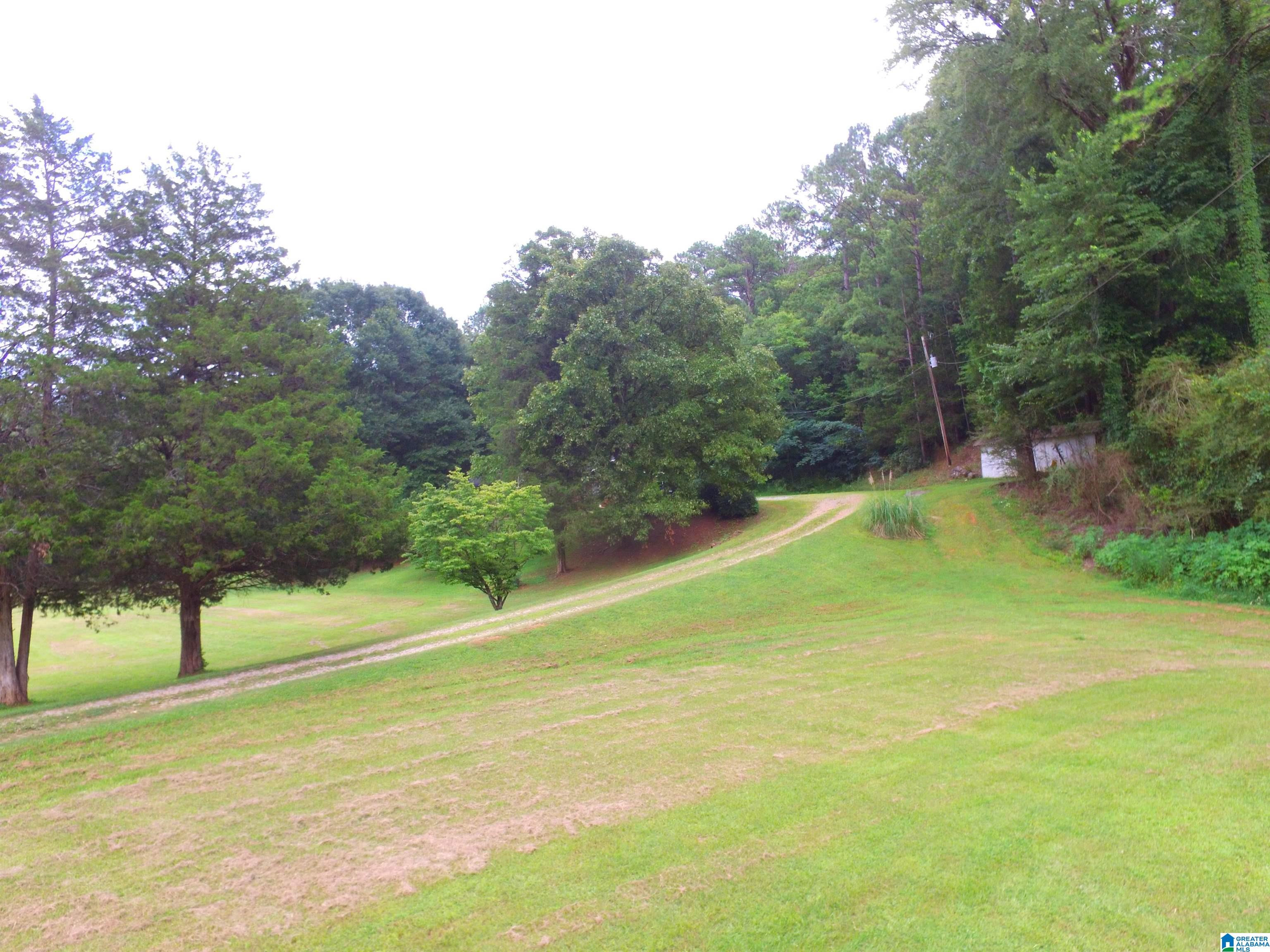 4041 Allison Mill Road Talladega, AL 35160 - Photo 16 of 53