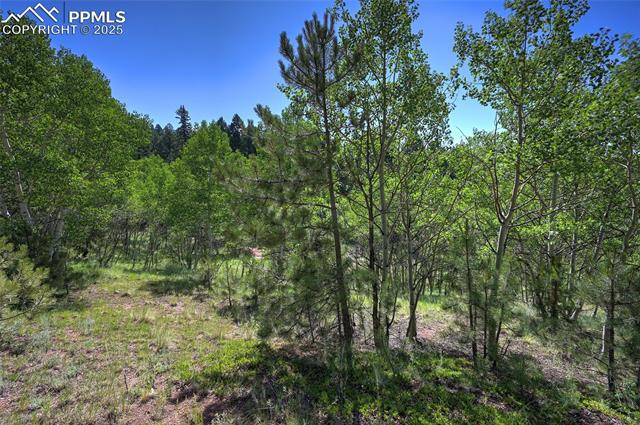 412 Princess Road Cripple Creek, CO 80813 - Photo 14 of 45 Gallery Image 14