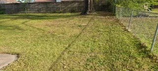 a view of a yard