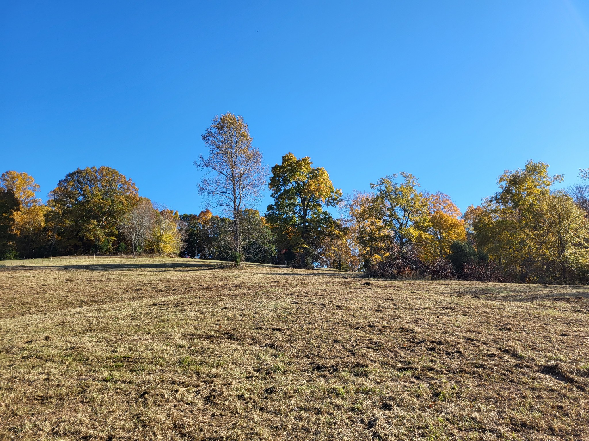 0 Benton Ridge Road Palmyra, TN 37142 - Photo 1 of 8 Gallery Image 1