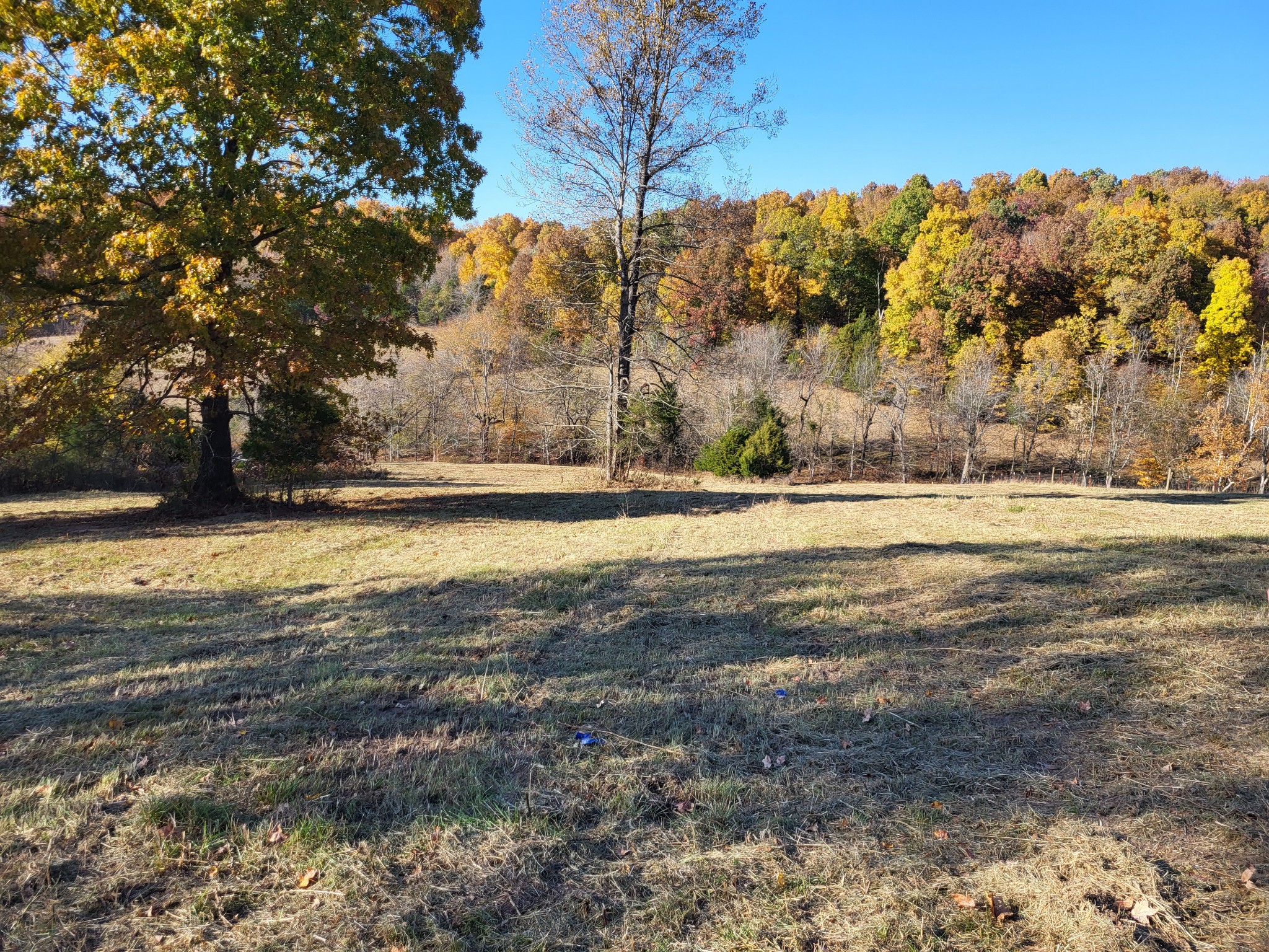 0 Benton Ridge Road Palmyra, TN 37142 - Photo 2 of 8 Gallery Image 2