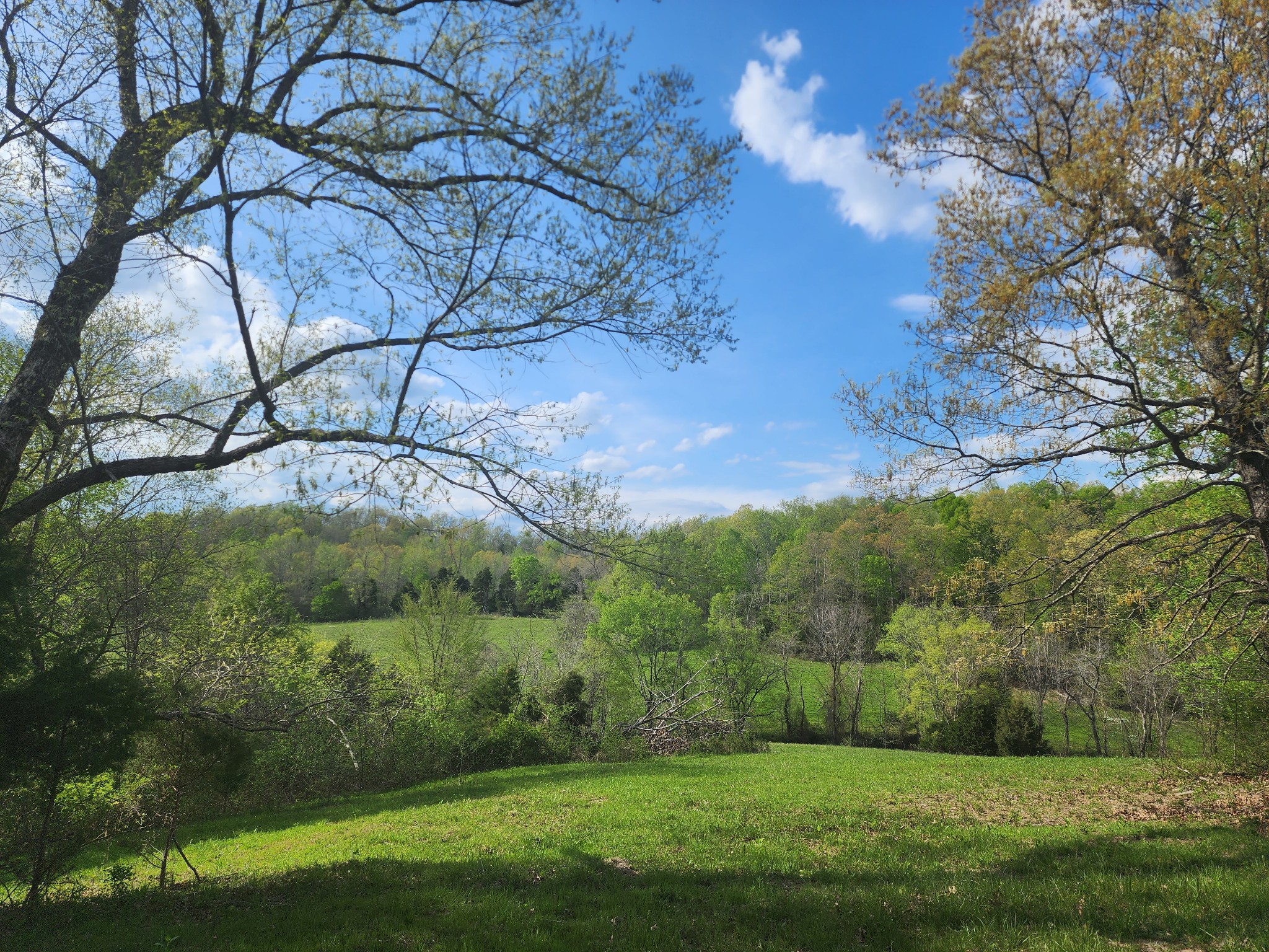 0 Benton Ridge Road Palmyra, TN 37142 - Photo 5 of 8 Gallery Image 5