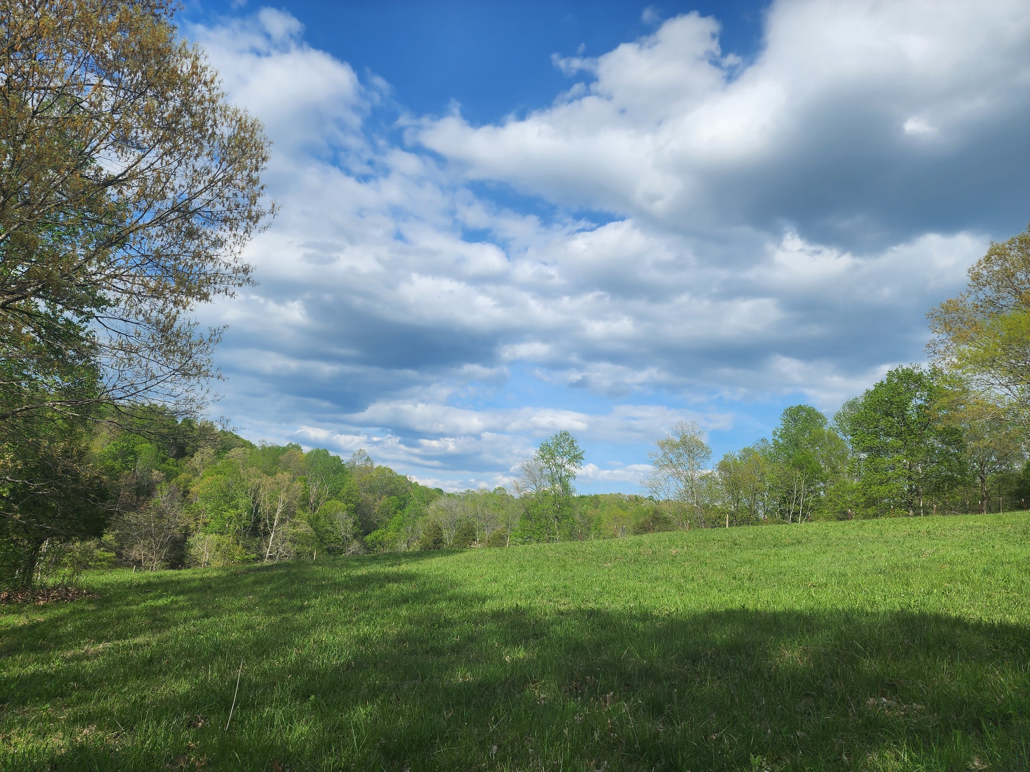 0 Benton Ridge Road Palmyra, TN 37142 - Photo 6 of 8 Gallery Image 6