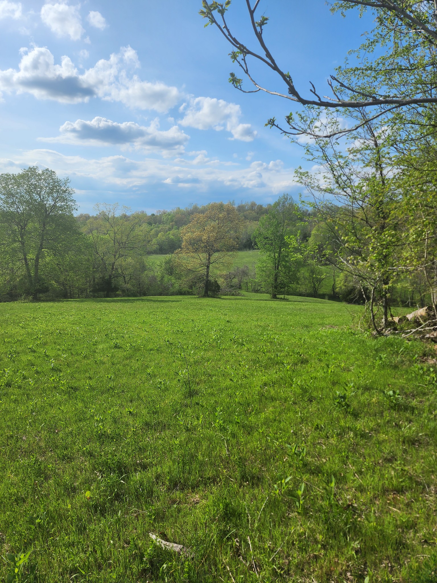 0 Benton Ridge Road Palmyra, TN 37142 - Photo 8 of 8 Gallery Image 8