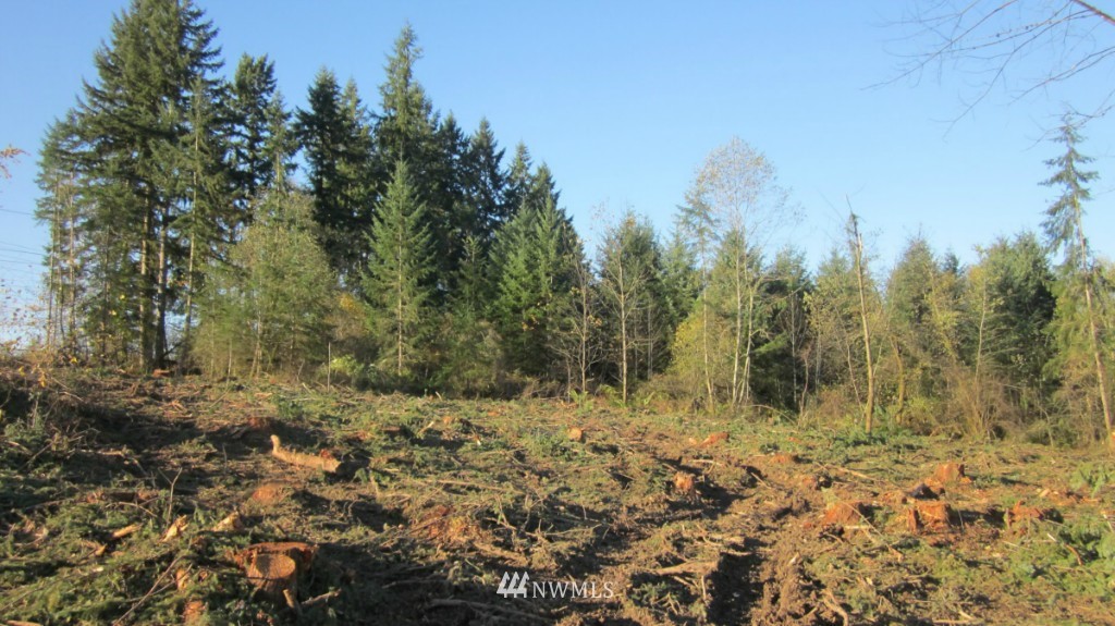 -xxx Xxx Johnson Road Winlock, WA 98596 - Photo 22 of 25 Gallery Image 22