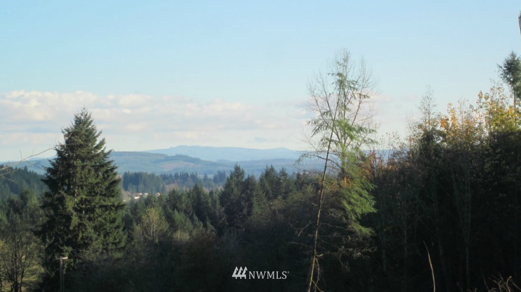 -xxx Xxx Johnson Road Winlock, WA 98596 - Photo 4 of 25 Gallery Image 4