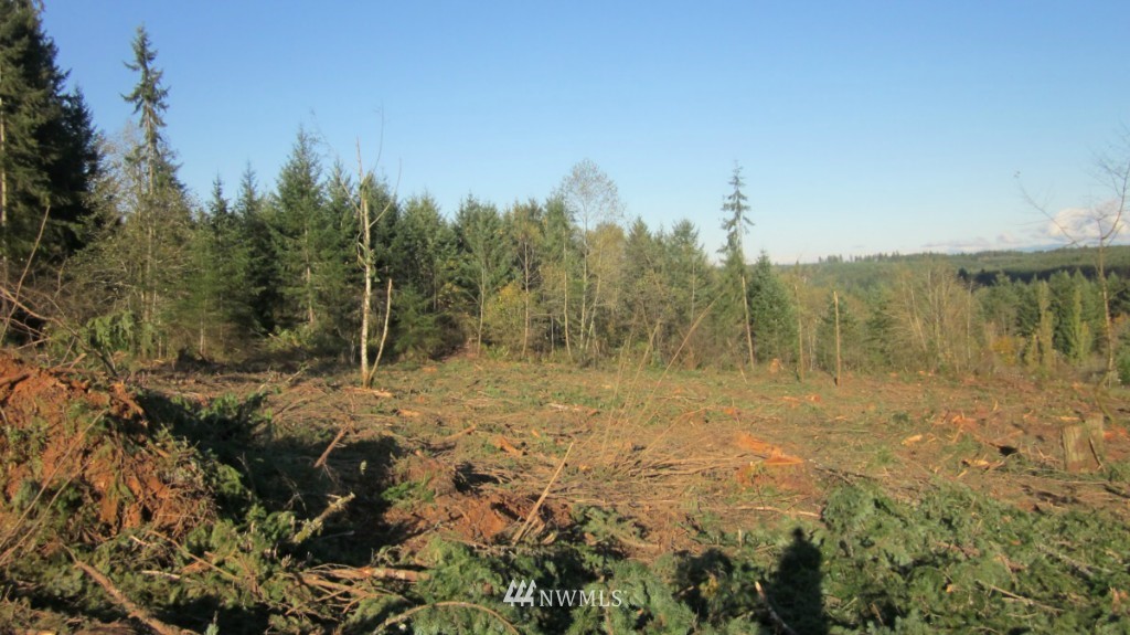 -xxx Xxx Johnson Road Winlock, WA 98596 - Photo 5 of 25 Gallery Image 5