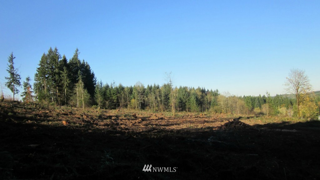 -xxx Xxx Johnson Road Winlock, WA 98596 - Photo 7 of 25 Gallery Image 7