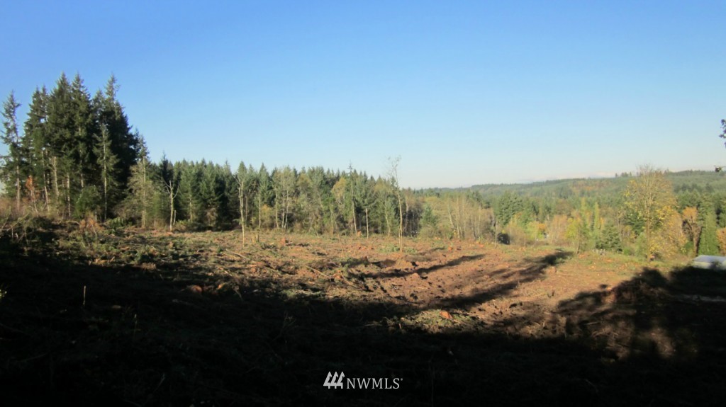 -xxx Xxx Johnson Road Winlock, WA 98596 - Photo 8 of 25 Gallery Image 8