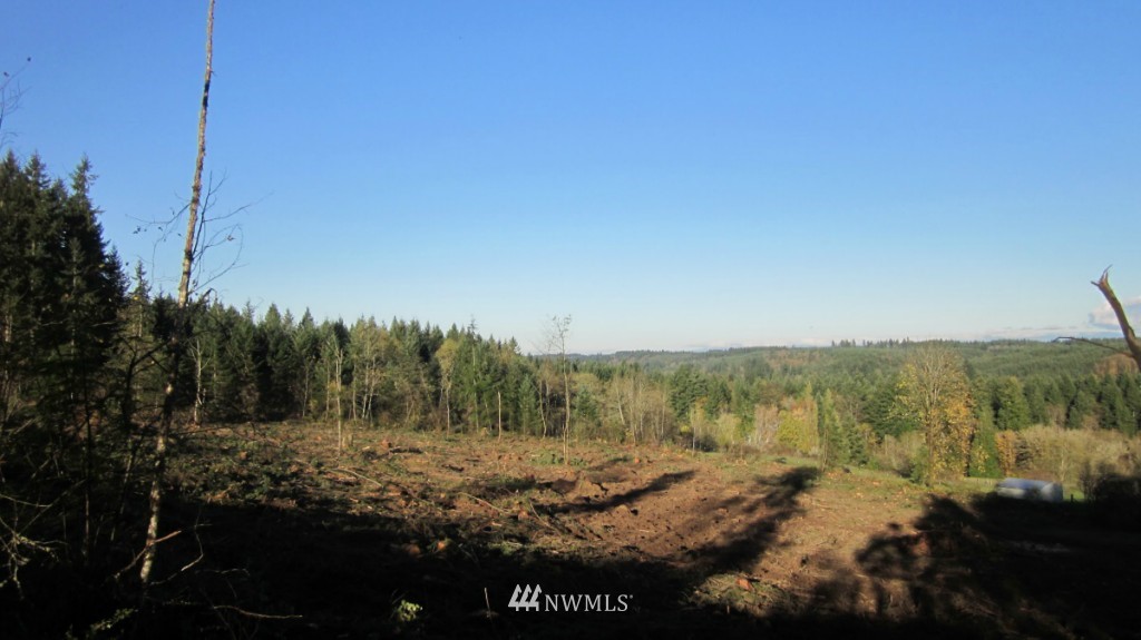 -xxx Xxx Johnson Road Winlock, WA 98596 - Photo 9 of 25 Gallery Image 9