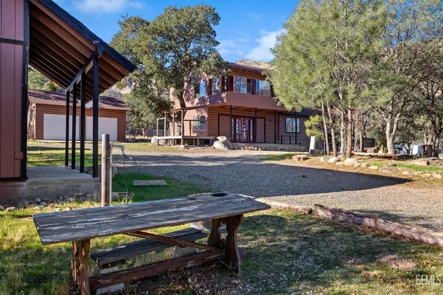 a view of a yard with plants and trees