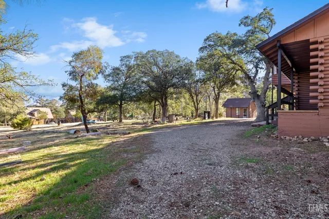 a view of a yard with a tree