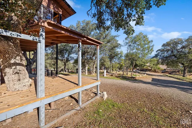 a view of a patio with a large tree