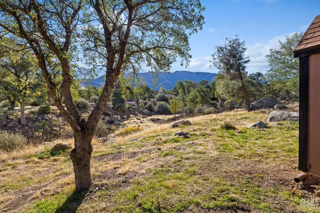 a view of a yard with trees