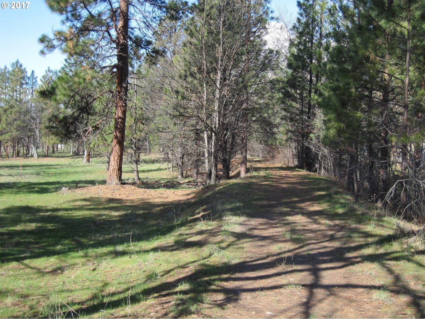 142 South Louisa Road Wamic, OR 97063 - Photo 3 of 22 Gallery Image 3
