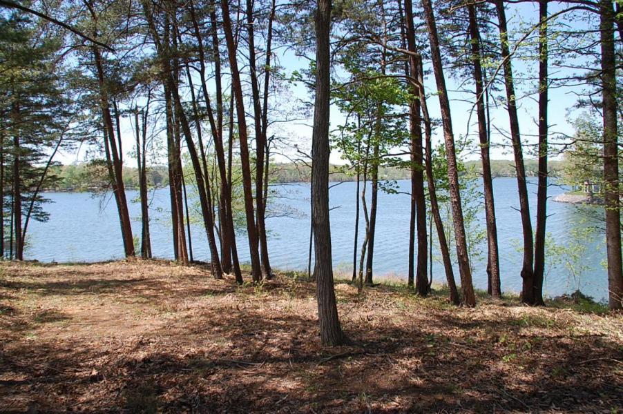 Lot 23 Aspen Road Moneta, VA 24121 - Photo 8 of 33 AS2