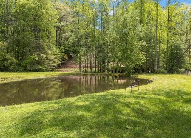 a view of lake with green space