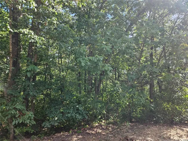 $28,500 | 0 Lot 17 Tarrant's Estates, Bowling Green, MO 63334