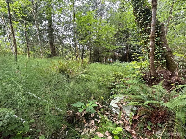a backyard of a house with lots of trees