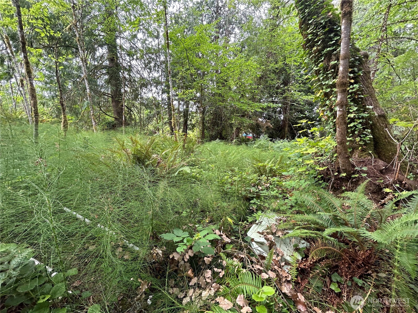 19401 Whiteman Cove Road Southwest Longbranch, WA 98351 - Photo 11 of 19