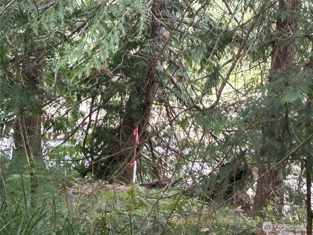 a front view of a house with a tree