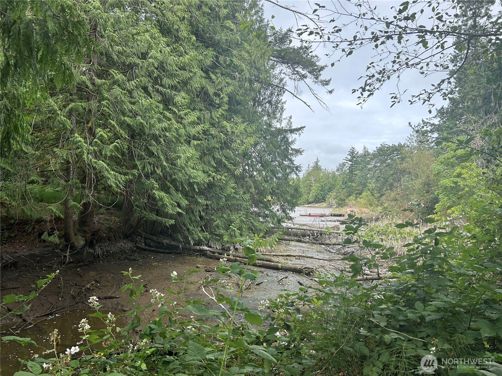 19401 Whiteman Cove Road Southwest Longbranch, WA 98351 - Photo 3 of 19 a view of a yard with large trees