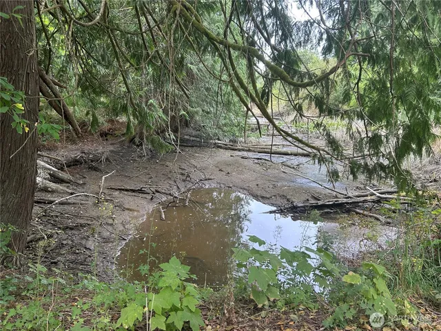 a backyard of a house with lots of green space and a lake view