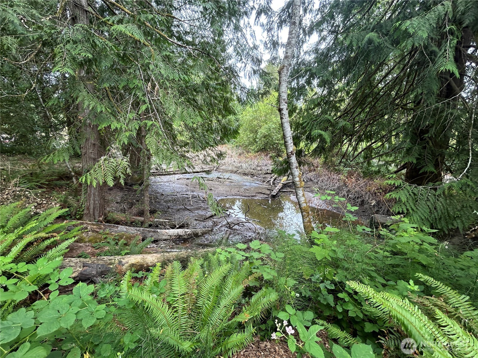 19401 Whiteman Cove Road Southwest Longbranch, WA 98351 - Photo 7 of 19 a backyard of a house with lots of green space