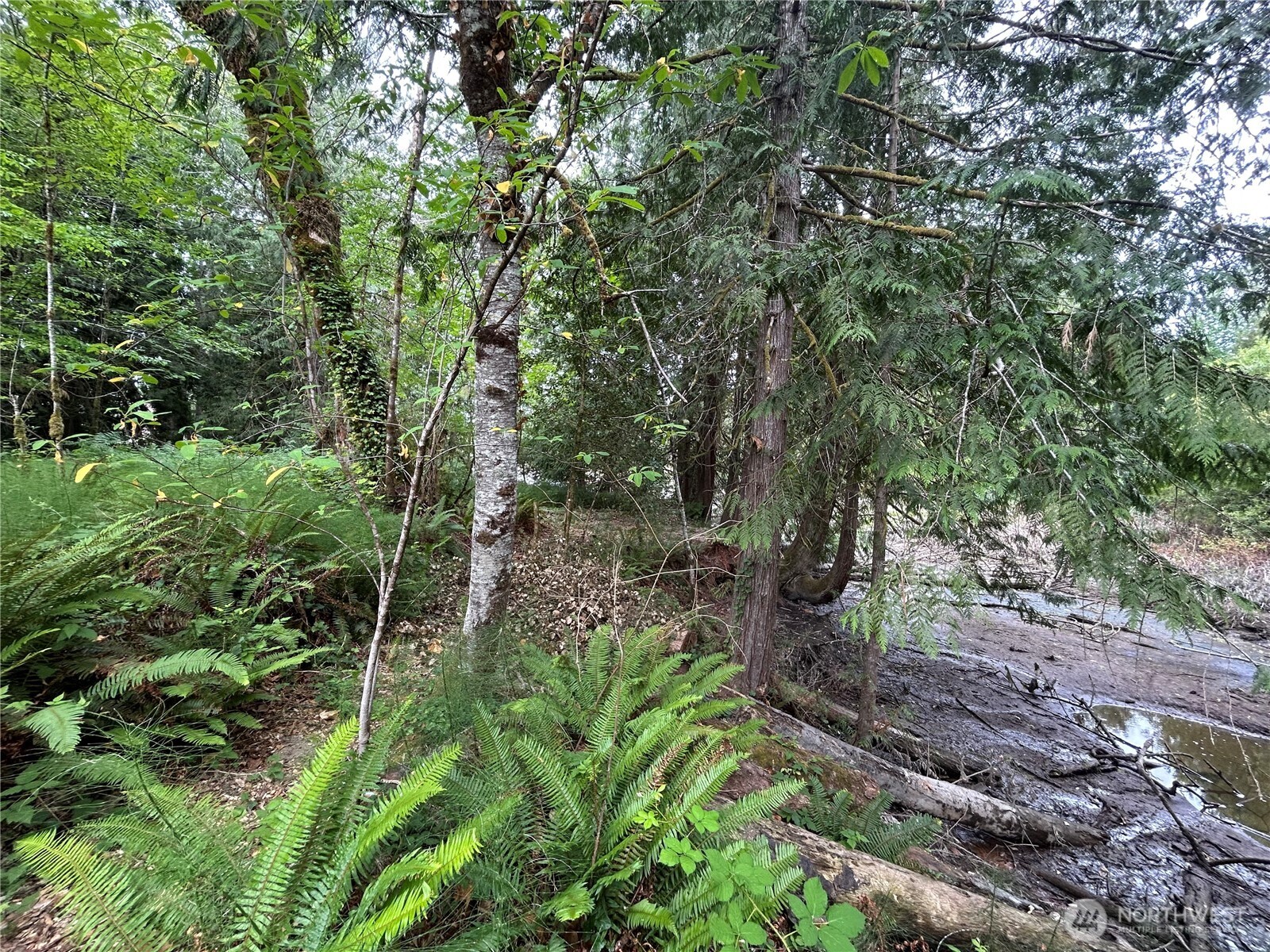 19401 Whiteman Cove Road Southwest Longbranch, WA 98351 - Photo 8 of 19 a view of yard