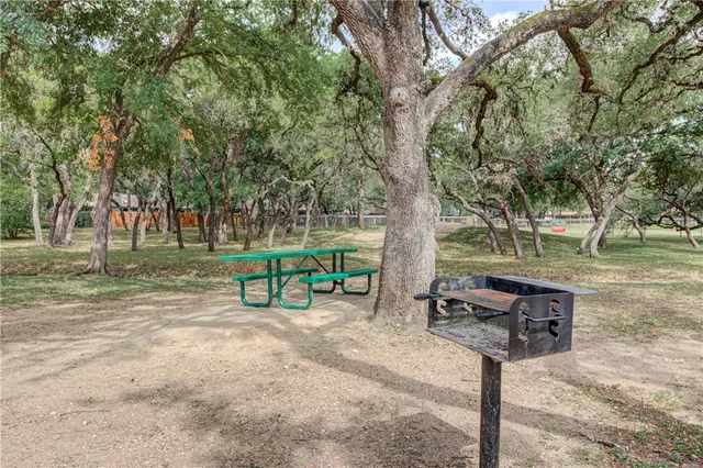 a park view with a bench under a large tree