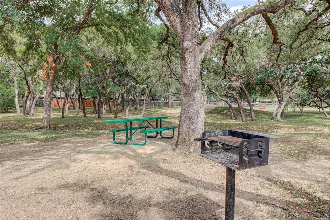 12012 Swallow Drive Austin, TX 78750 - Photo 27 of 33 a park view with a bench under a large tree