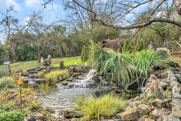 a view of a yard with plants and trees