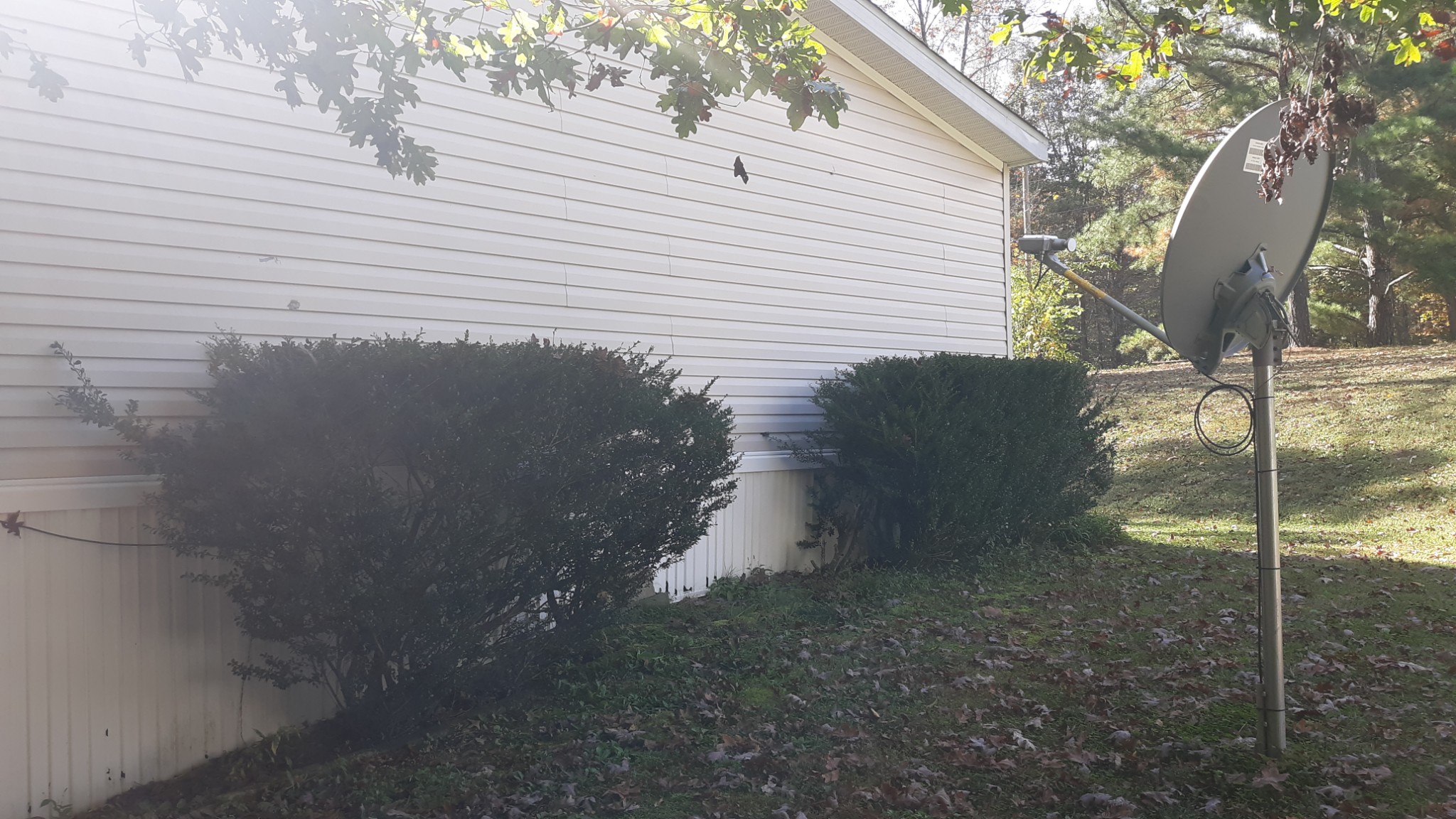 6611 Wesley Ridge Road Lyles, TN 37098 - Photo 22 of 27 a view of a backyard