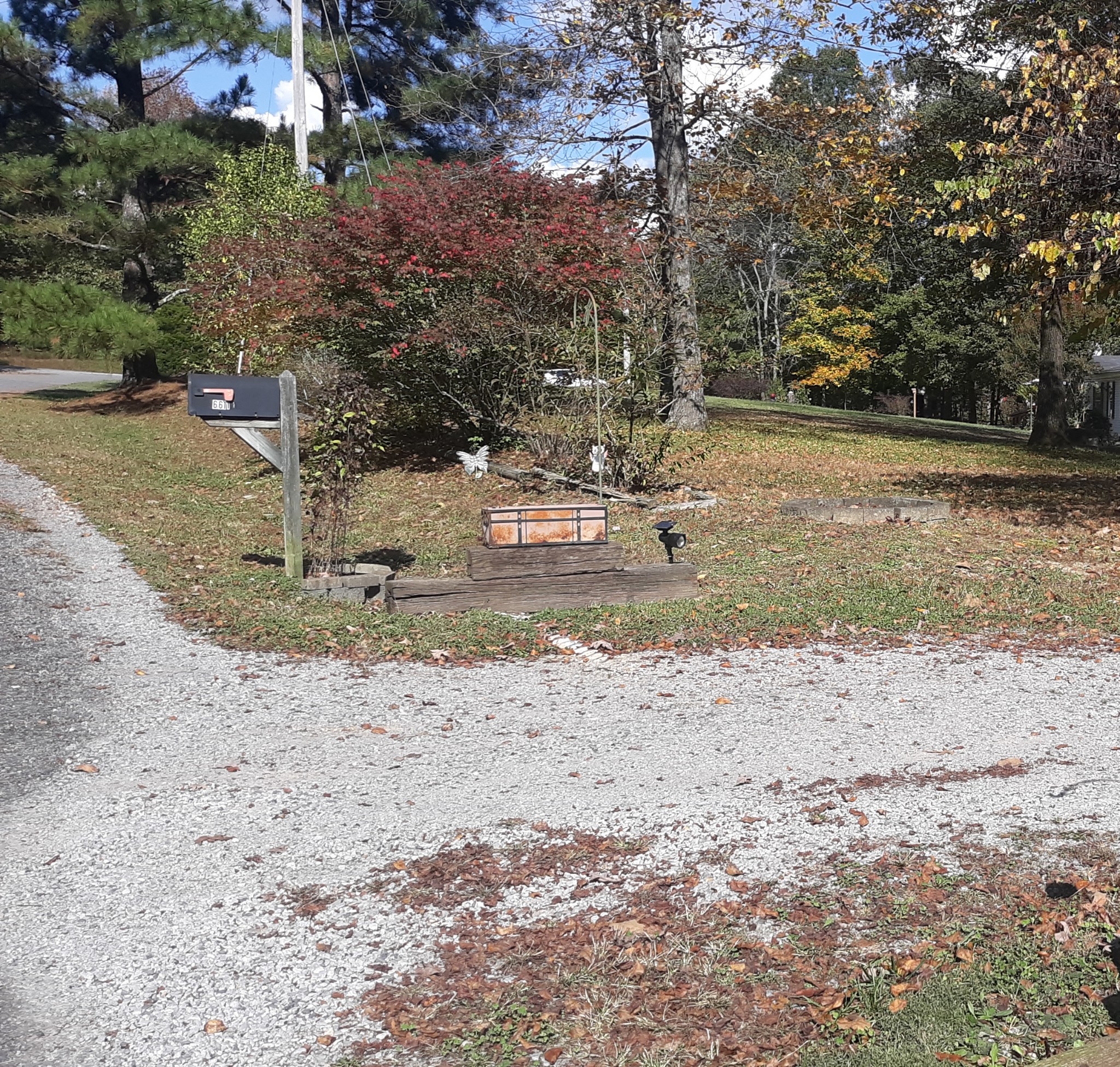 6611 Wesley Ridge Road Lyles, TN 37098 - Photo 24 of 27 a view of a yard with a tree
