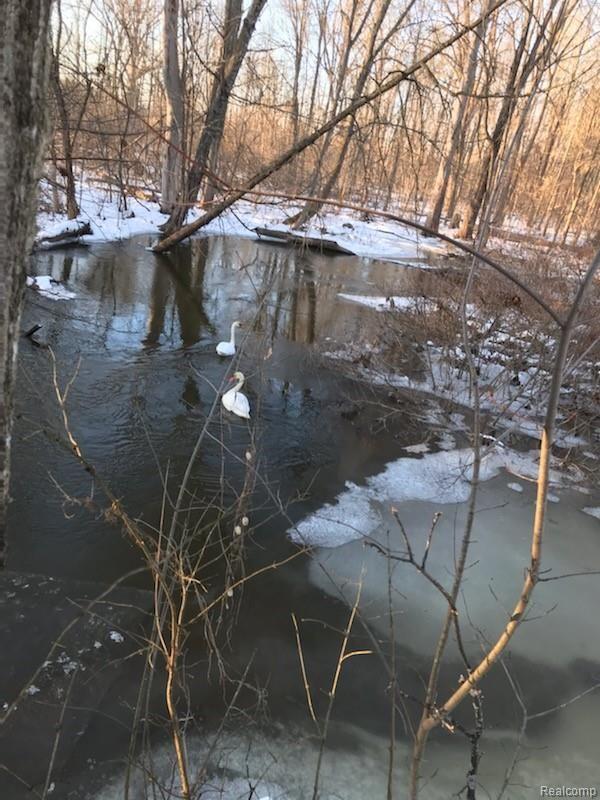 2106 West Cook Road Grand Blanc, MI 48439 - Photo 59 of 65 Wildlife