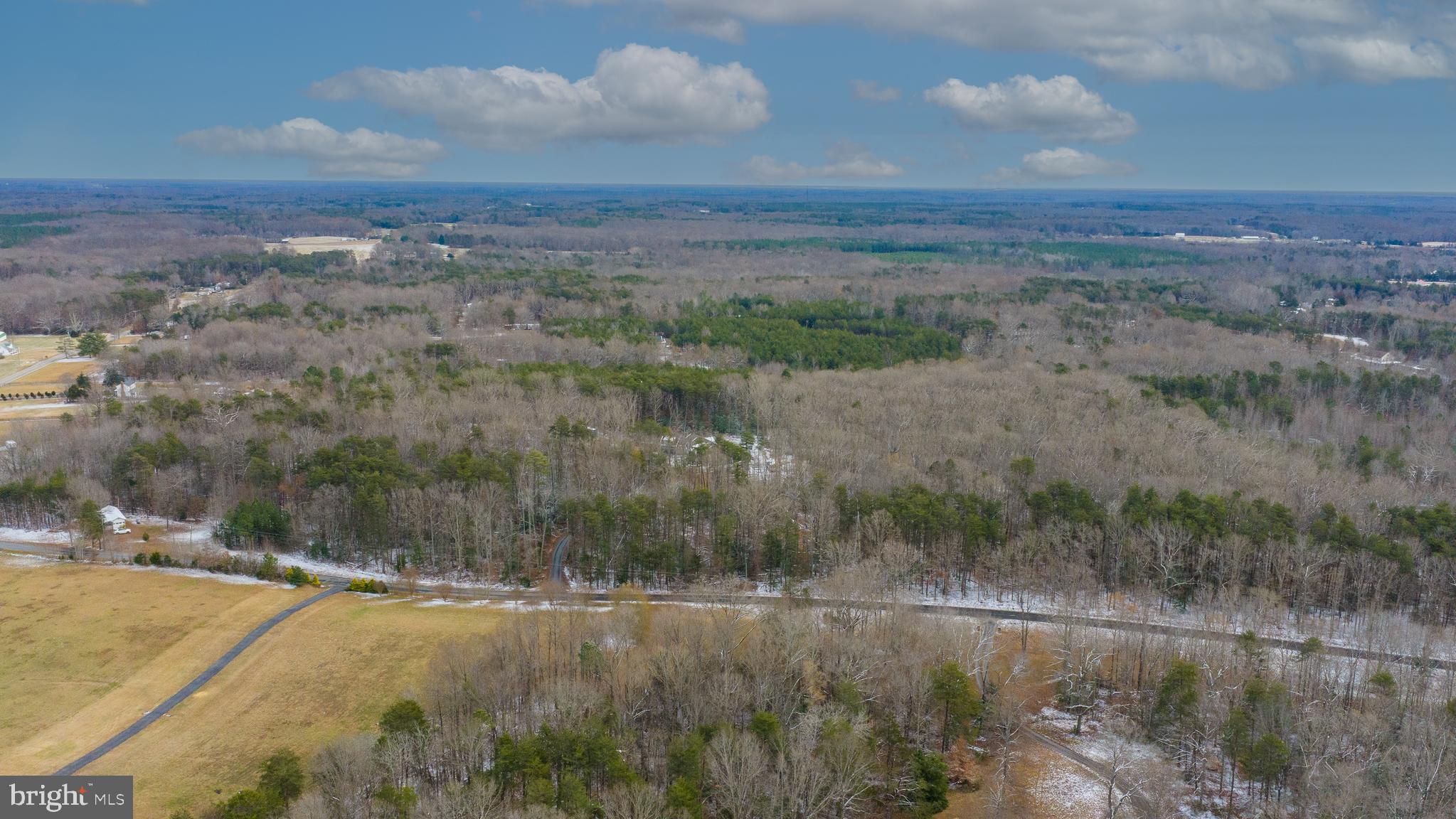 2407 Butler Road Beaverdam, VA 23015 - Photo 104 of 117