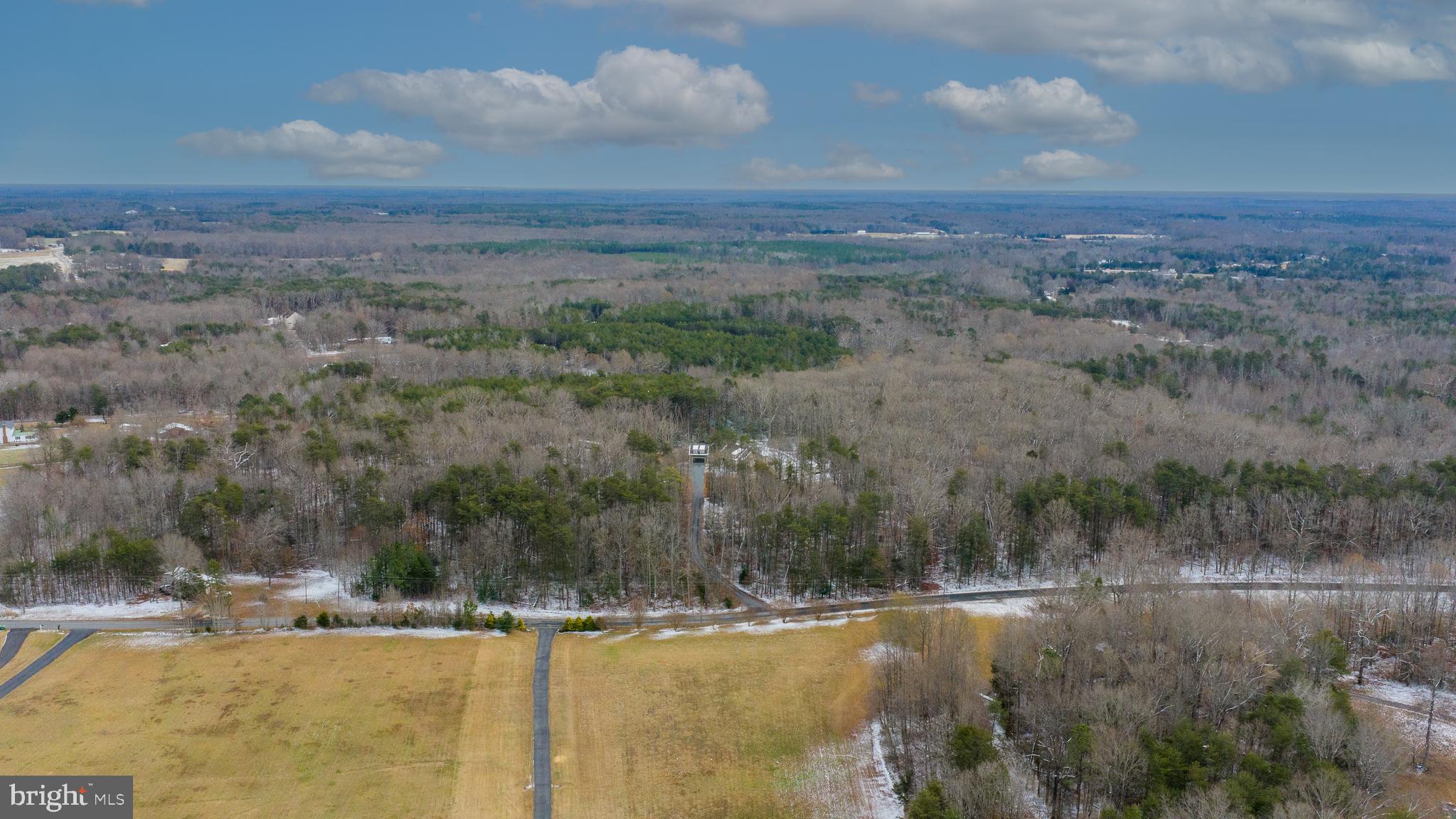 2407 Butler Road Beaverdam, VA 23015 - Photo 106 of 117