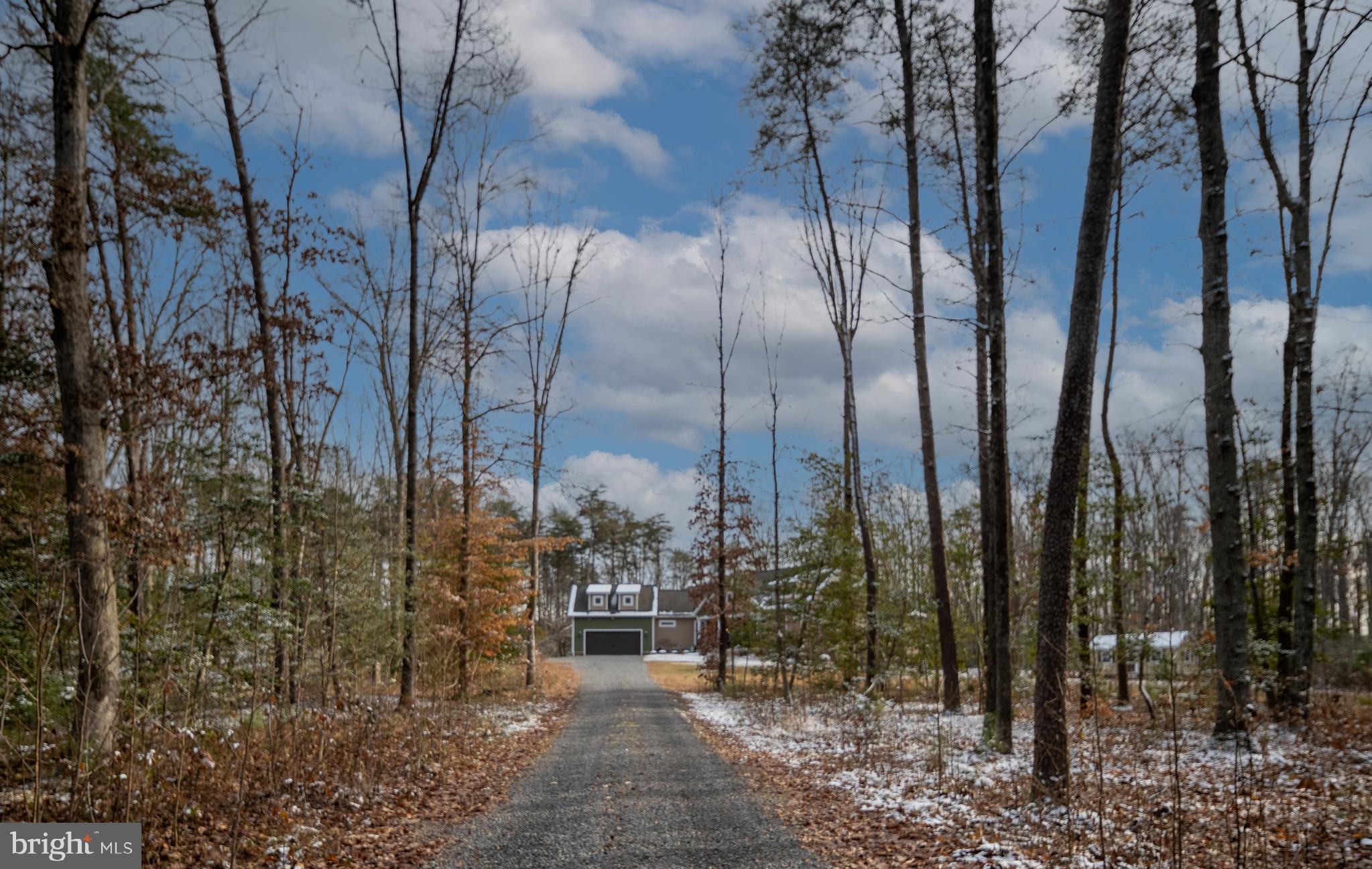 2407 Butler Road Beaverdam, VA 23015 - Photo 113 of 117